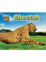 Cheetah
