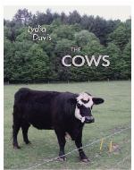 The Cows