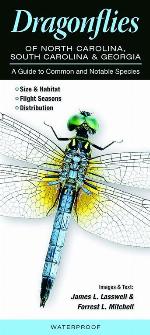 Dragonflies of North Carolina, South Carolina, and Georgia