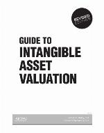 Guide to Intangible Asset Valuation