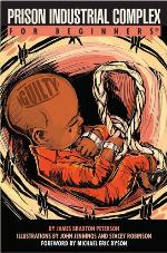 Prison Industrial Complex For Beginners