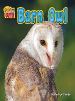 Barn Owl