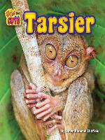 Tarsier