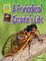 A Periodical Cicada's Life