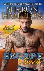 Escape To Sunset: One Night Stand Romance-Hiding From The Mob (Sunset SEALs)