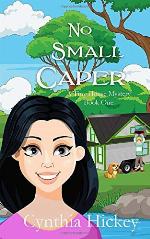 No Small Caper (A Tiny House Mystery)