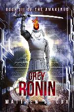 Grey Ronin