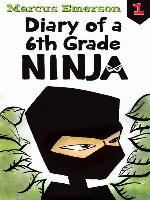 Diary of a 6th Grade Ninja