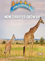How Giraffes Grow Up