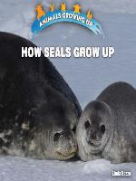 How Seals Grow Up