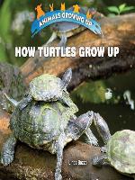 How Turtles Grow Up