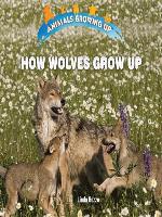 How Wolves Grow Up