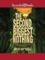 The Second Biggest Nothing