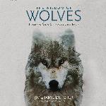 The Wisdom of Wolves: Lessons from the Sawtooth Pack