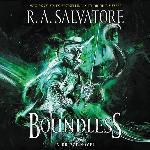 Boundless: A Drizzt Novel: The Drizzt Series, book 2 (Drizzt Series, 2)