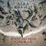 These Divided Shores: The Stream Raiders Series, book 2 (Stream Raiders Series, 2)