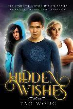 Hidden Wishes: Books 1-3.