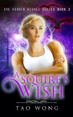 A Squire's Wish: A GameLit novel (Hidden Wishes)