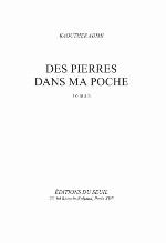 Des pierres dans ma poche : roman