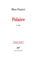 Polaire : roman