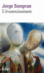 L'évanouissement : roman