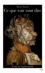 Ce que voir veut dire : essai sur la perception