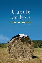 Gueule de bois : roman