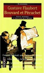 Bouvard Et Pecuchet (French Edition)
