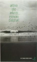 Mémoire d'éléphant