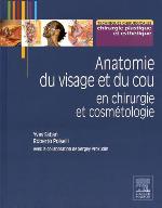 Anatomie Du Visage Et Du Cou
