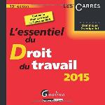 L'essentiel du droit du travail 2015