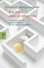 Des souris dans un labyrinthe