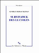Survivance des lucioles