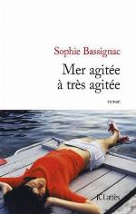 Mer agitée à très agitée