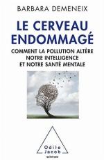 Le Cerveau Endommage