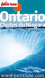 Ontario, chutes du Niagara 2010-2011