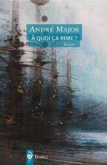 À quoi ça rime? : roman