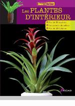 Plantes d'intérieur.