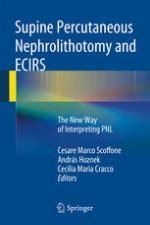 Supine percutaneous nephrolithotomy : a new way of interpreting PNL