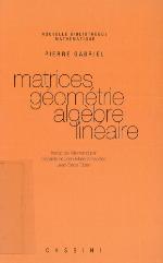 Matrices, géométrie, algèbre linéaire