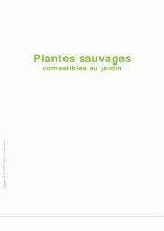 Plantes sauvages comestibles au jardin