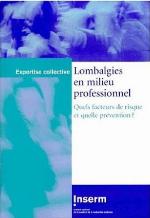 Lombalgies en milieu professionnel : quels facteurs de risque et quelle prévention?