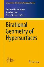 Birational geometry of hypersurfaces : Gargnano del Garda, Italy, 2018