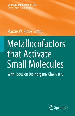 Metallocofactors that activate small molecules : with focus on bioinorganic chemistry