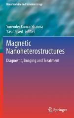 Magnetic Nanoheterostructures