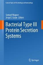 Bacterial Type III Protein Secretion Systems