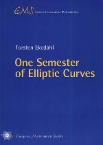 One Semester of Elliptic Curves