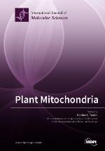 Plant mitochondria