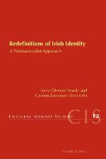 Redefinitions of Irish Identity
