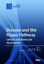 Disease and the hippo pathway : cellular and molecular mechanisms